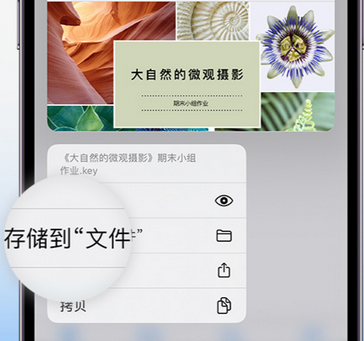 峰峰矿apple维修中心分享iPhone文件应用中存储和找到下载文件