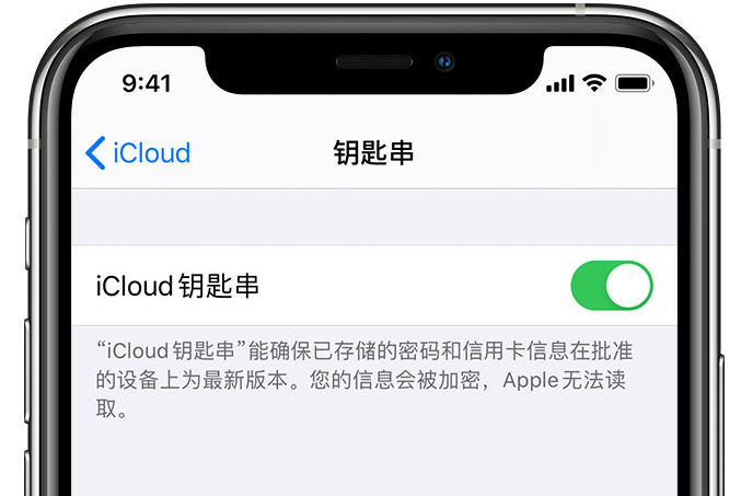 峰峰矿苹果手机维修分享在 iPhone 上开启 iCloud 钥匙串之后会储存哪些信息 